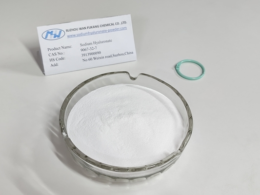 Faible poids moléculaire Hyaluronate de sodium de qualité alimentaire Forte perméabilité