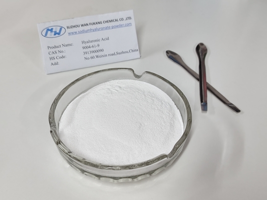 Poudre d'acide hyaluronique de haute qualité