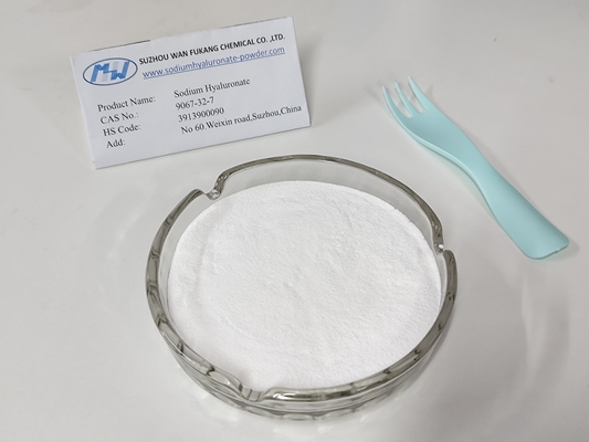 Test de fermentation microbienne ≥ 93% de poudre de hyaluronate de sodium de qualité alimentaire sûre et stable