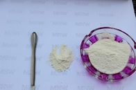 Poudre d'acide hyaluronique/sodium purs Hyaluronate CAS catégorie d'injection 9004 61 9